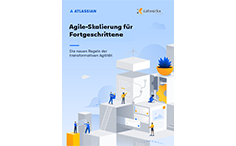 Agile Skalierung für Fortgeschrittene - Agile Transformation