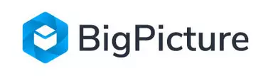BigPicture Logo