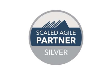 Scaled agile Partner Silver für catworkx